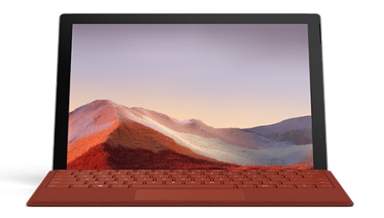 西藏清洁和维护 Surface